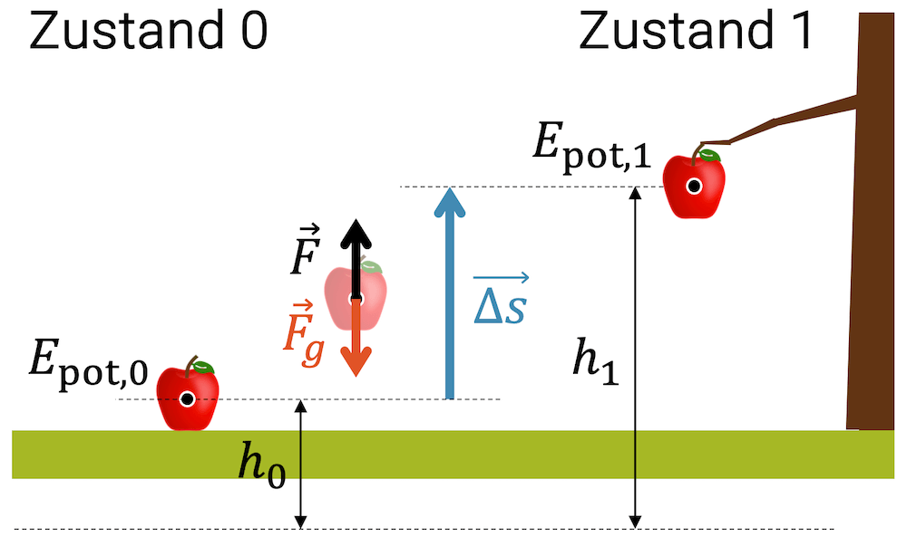Wenn wir Hubarbeit an einem Apfel verrichten, können wir ihn wieder an seinen Ast befestigen, d.h. er hat auf dieser Höhe genau diese potenzielle Energie in sich gespeichert.