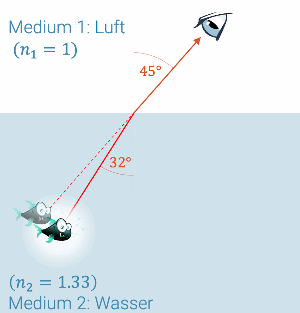 Durch die Brechung erscheint der Fisch unter einem Winkel von 45°, obwohl er unter dem Wasser anderswo ist