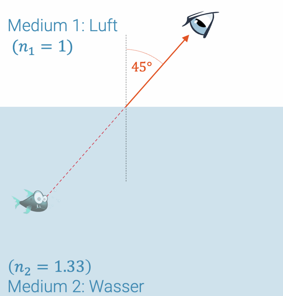 Wo ist der Fisch wirklich? Berechne den Winkel mit dem Brechungsgesetz.