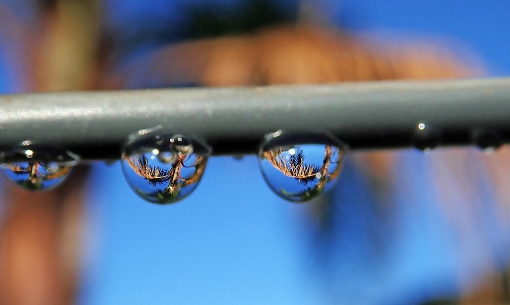 Durch Brechung wirken die Wassertropfen als Sammellinsen und zeigen ein umgekehrtes, reelles Bild