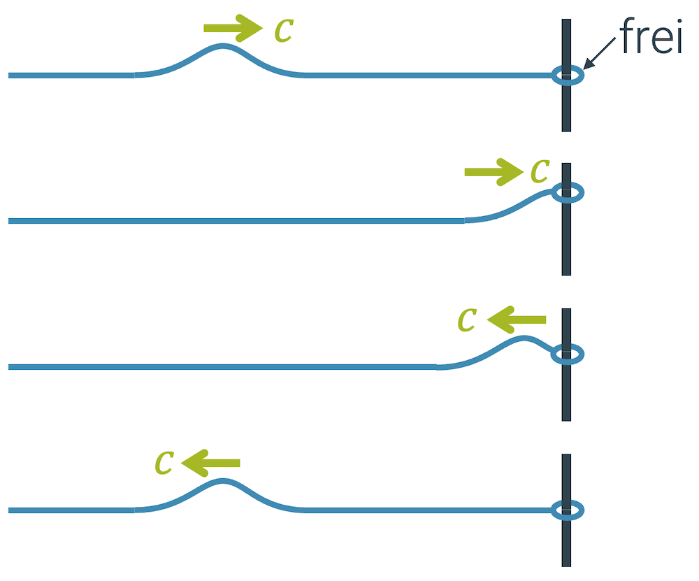 Reflexion einer Seilwelle an einem freien Ende (Wellen an Grenzflächen)