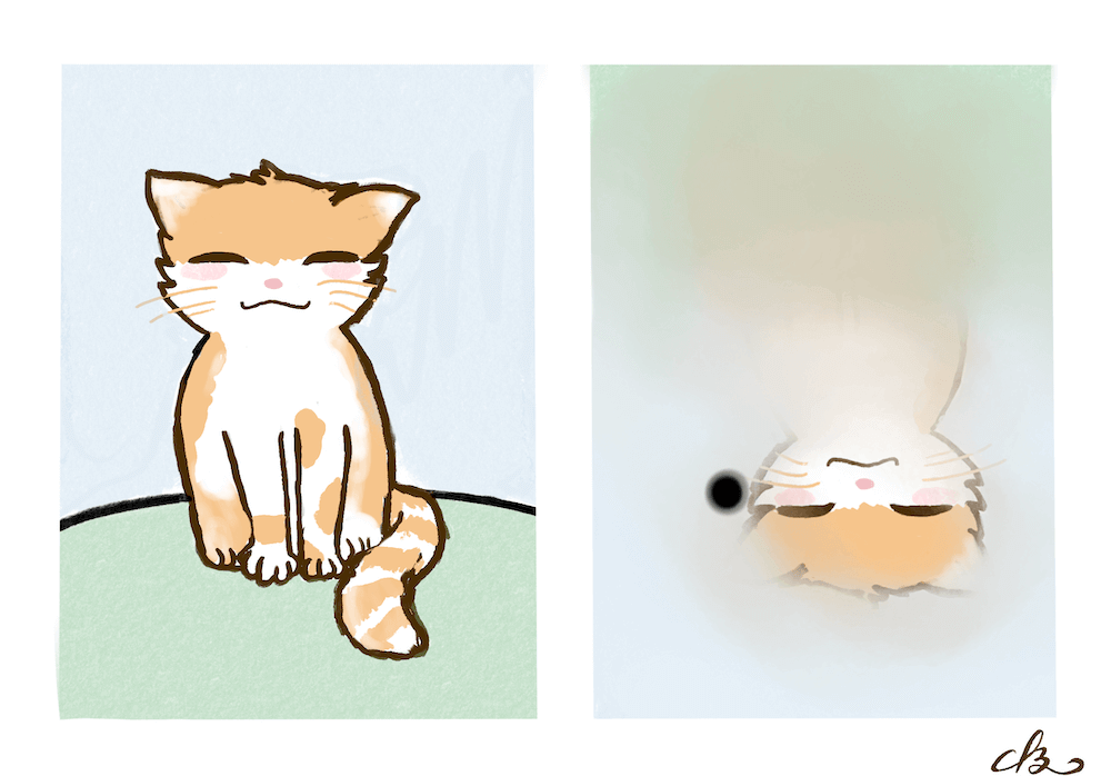 Bild auf unserer Netzhaut