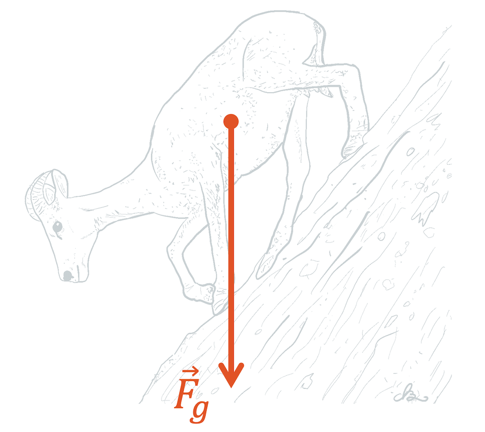 Gewichtskraft an der schiefen Ebene