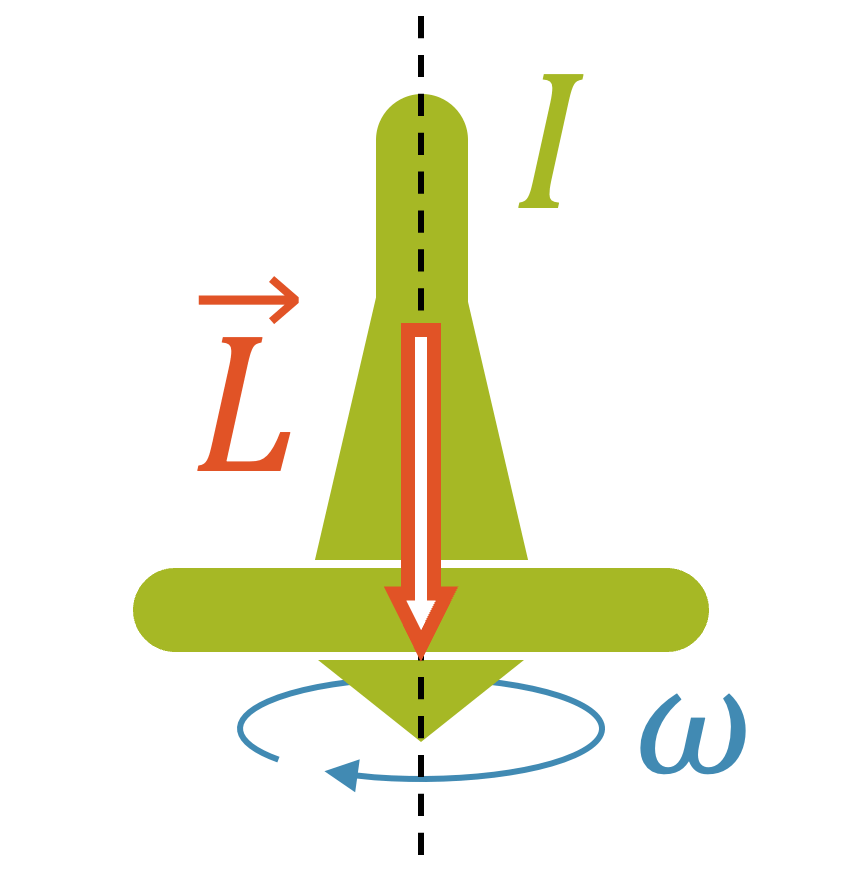 Drehimpuls (Kreisel)