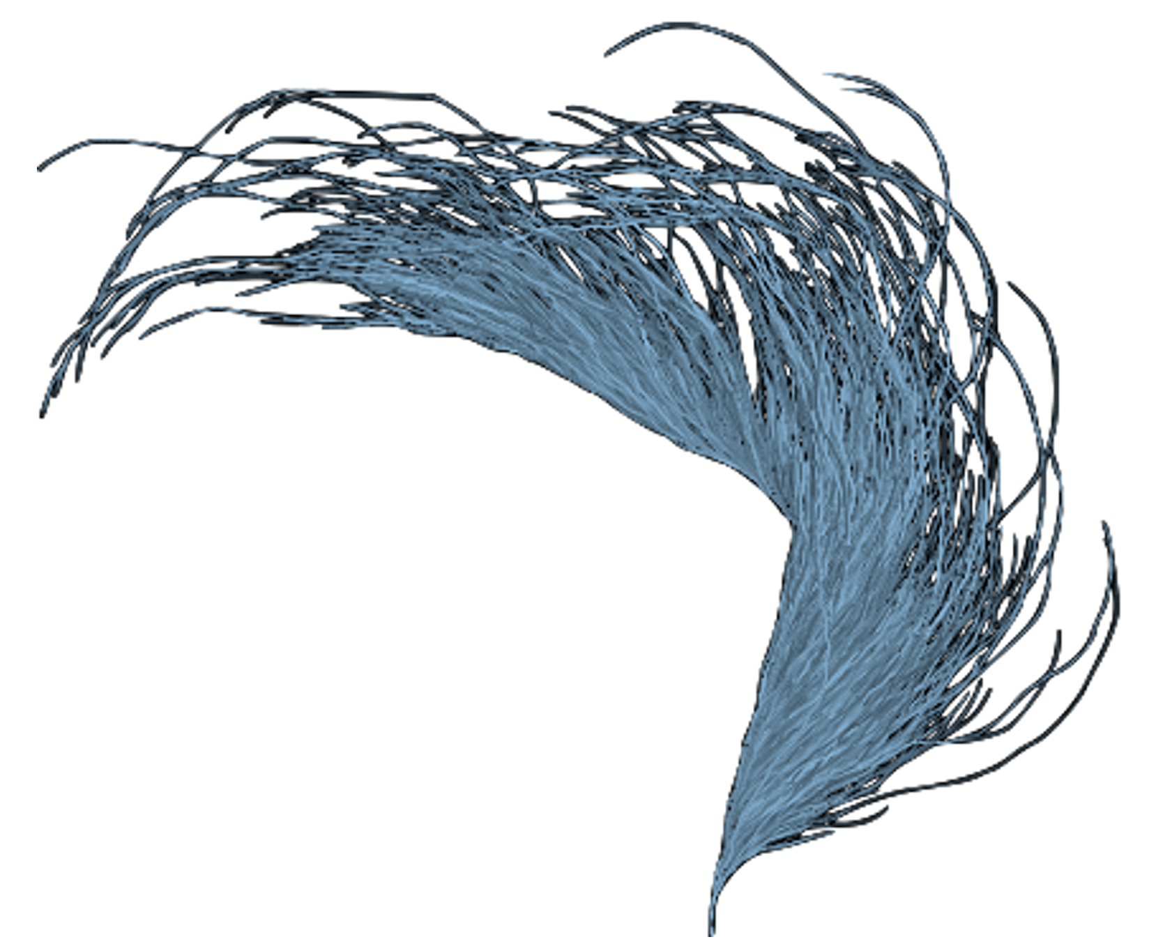 Korallenähnliche Struktur, entstanden aus einem gerichteten Graphen für die Collatz-Vermutung. Die Struktur ist unregelmässig sieht sehr organisch und natürlich aus. Sie hat teils filigrane Enden.