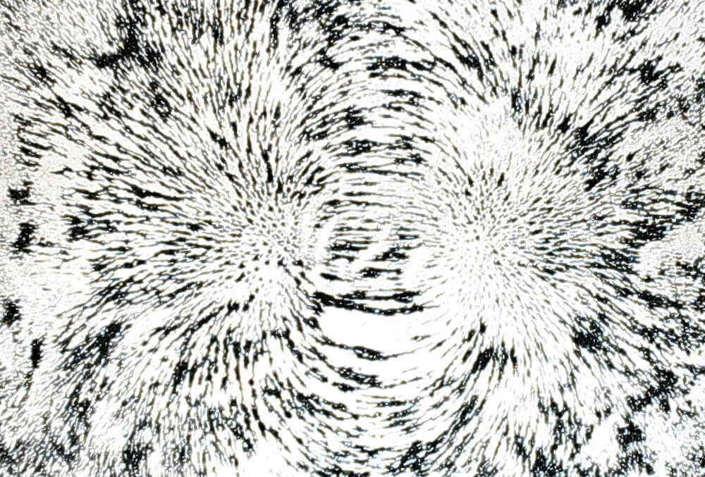 Feldlinien des Magnetfelds mit Eisenfeilspänen