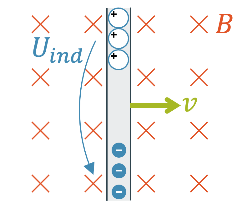 Induktion bei Bewegung eines Leiters quer zum Magnetfeld