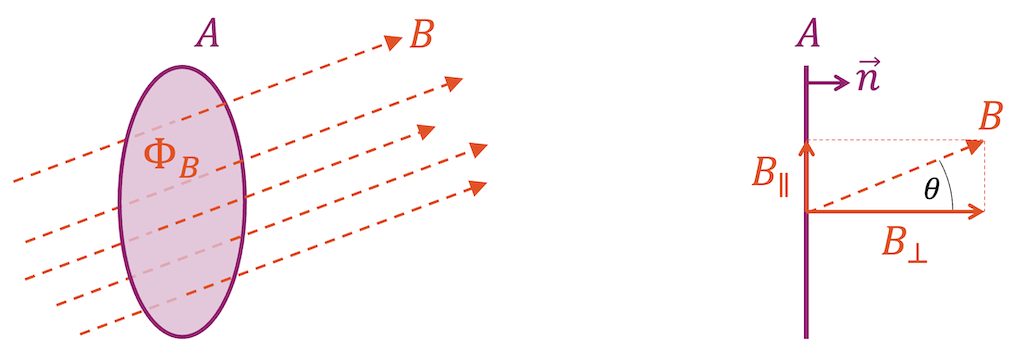 Magnetischer Fluss als Grundlage zur Induktion