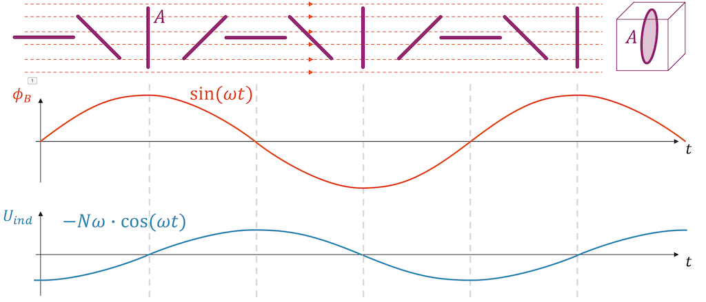 Drehende Leiterschleife erzeugt im Generator eine Wechselspannung