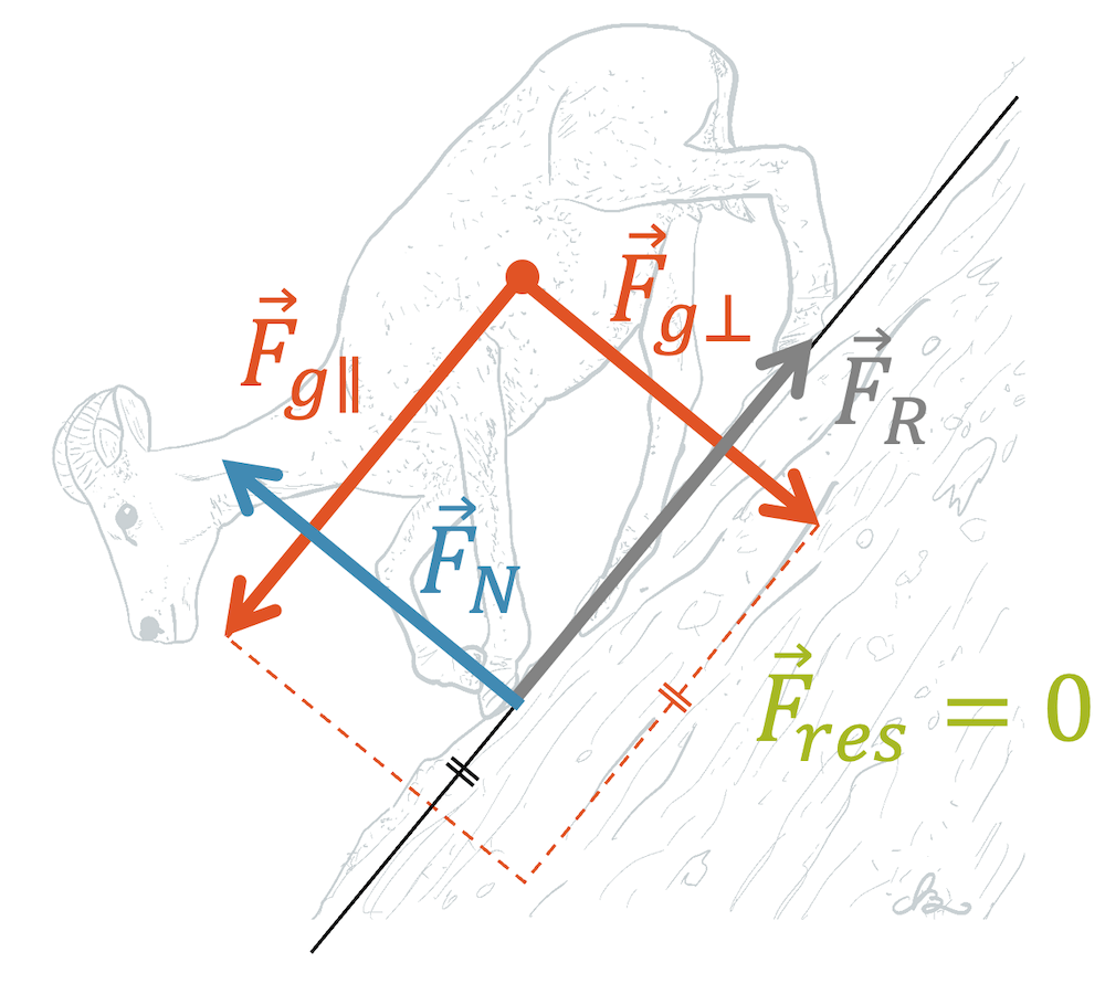Normalkraft und Reibungskraft als Reaktionskräfte zur Gewichtskraft an der schiefen Ebene