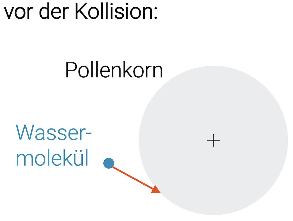 Brownsche Bewegung (Kollision Wassermolekül und Pollenkorn)