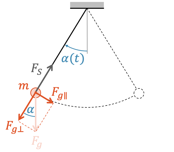 Kräfte beim Fadenpendel: Parallelkomponente der Gewichtskraft wirkt als Rückstellkraft